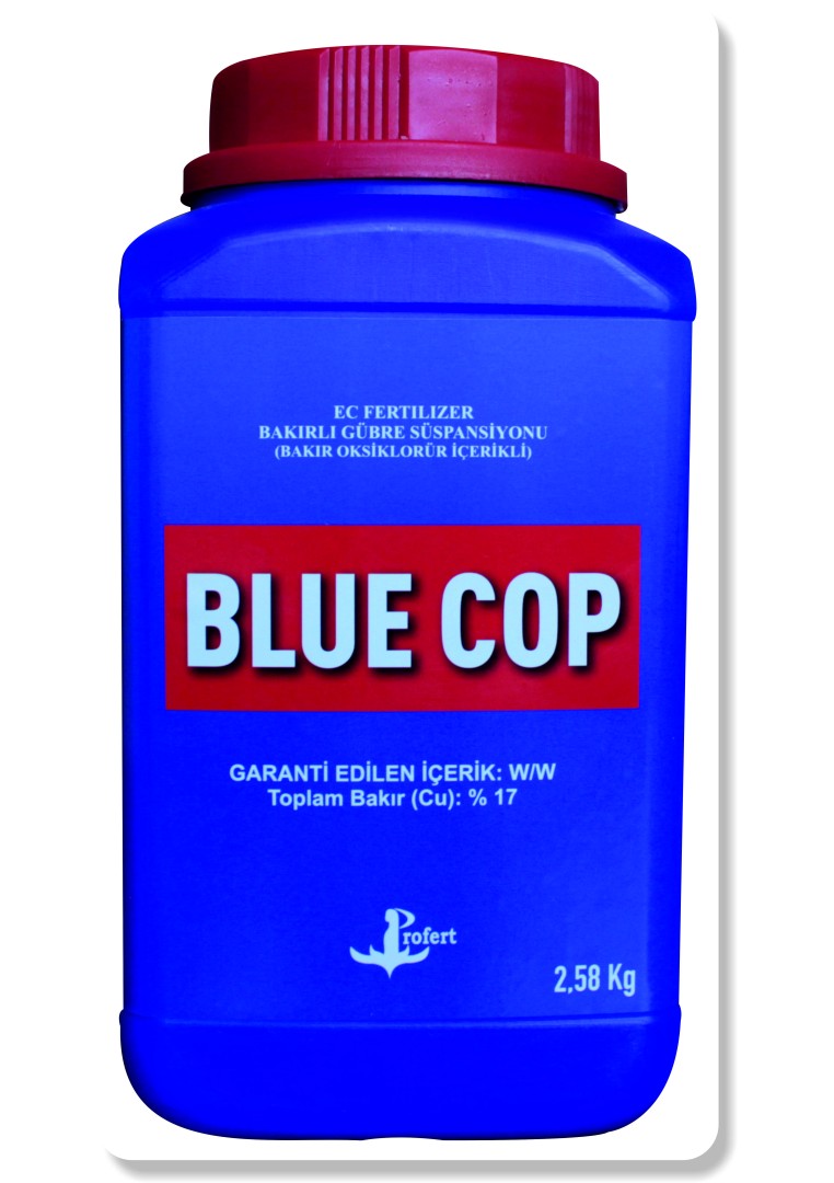 Blue Cop
